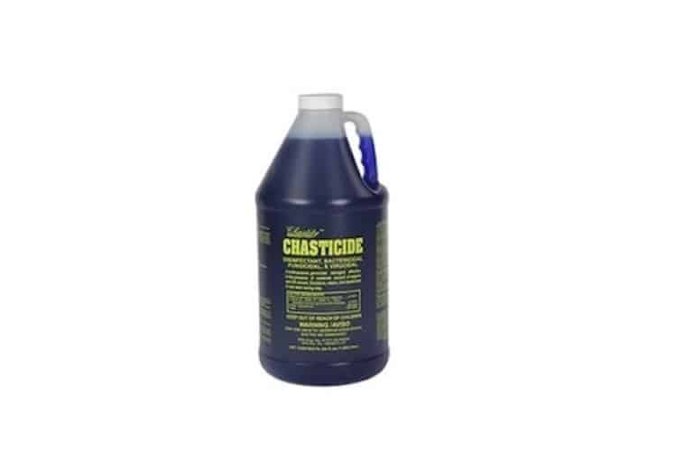 Chasticide Desinfectante 64 Onzas Bacterizida, Virucida, Antibacterial