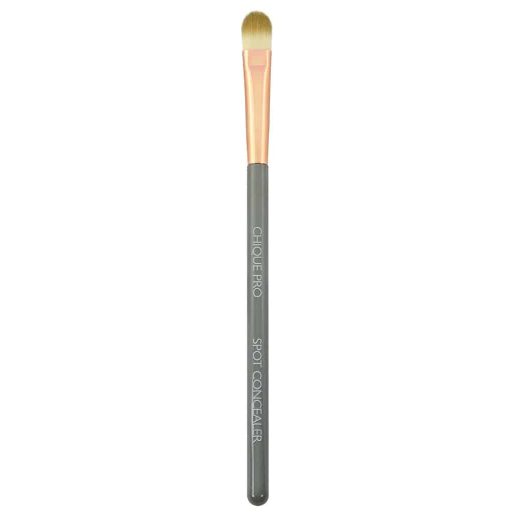 Chique Pro Spot Concealer