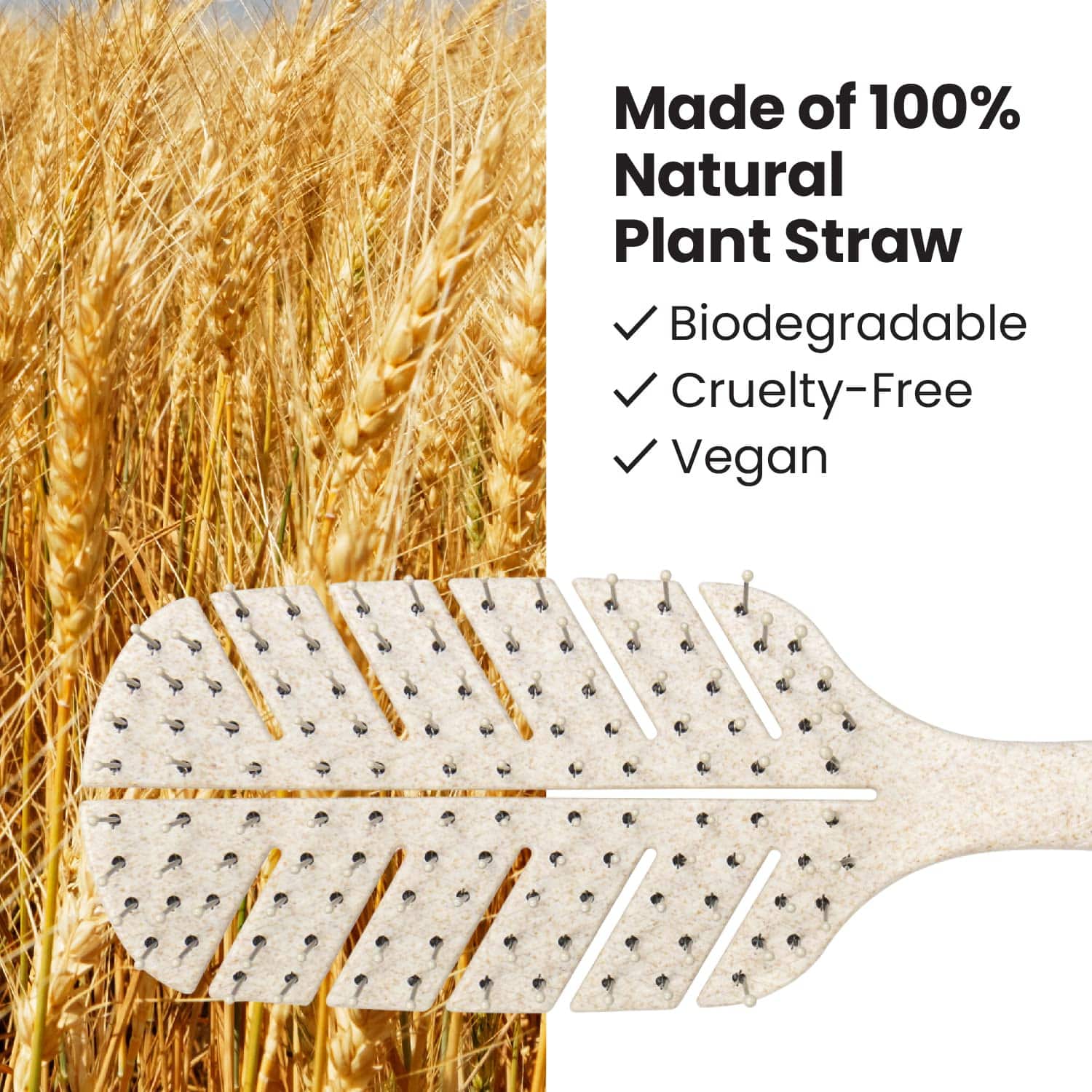 Lindo Cepillo Biodegradable Varios Colores Disponibles