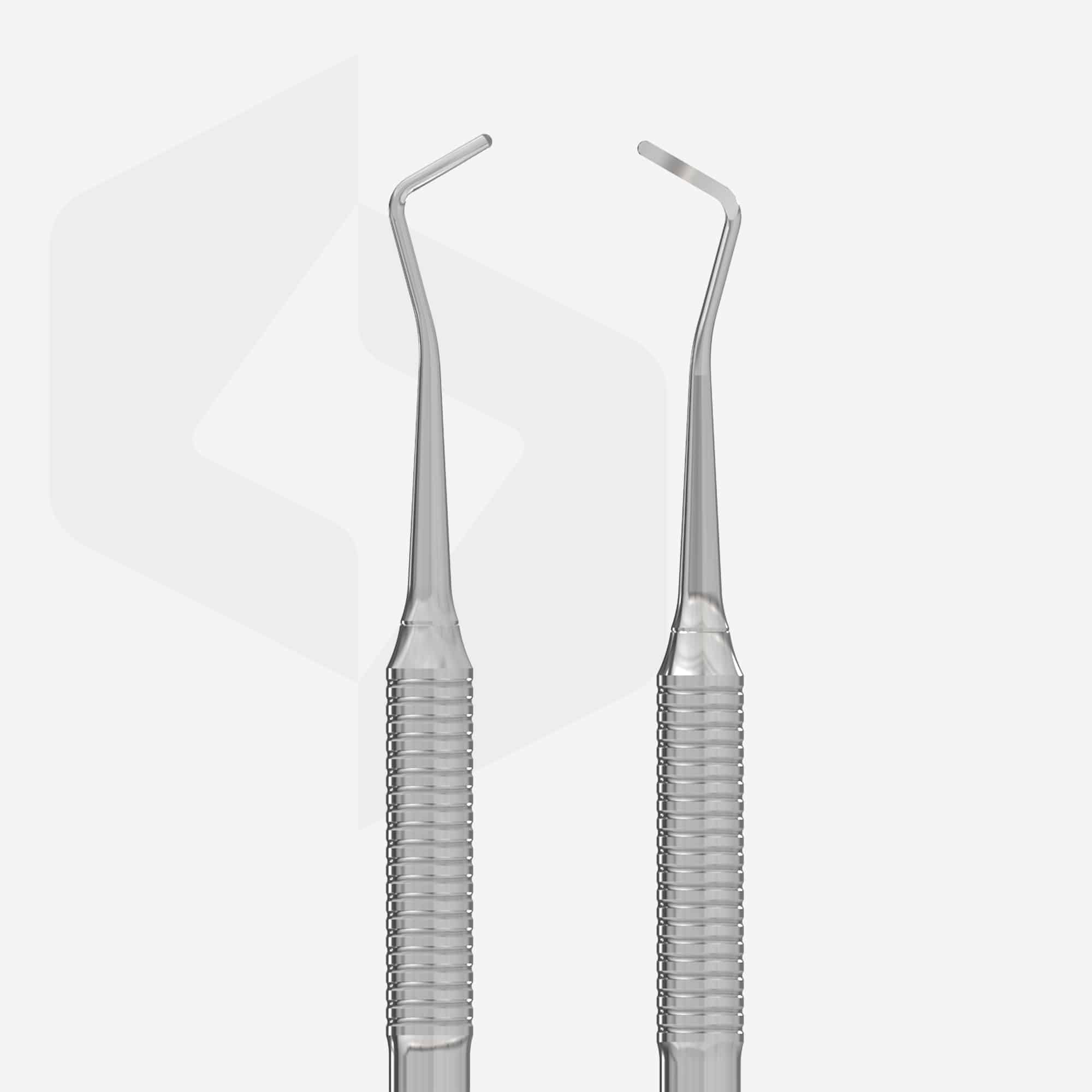 Staleks Exprert 20  T2 Doble Cureta