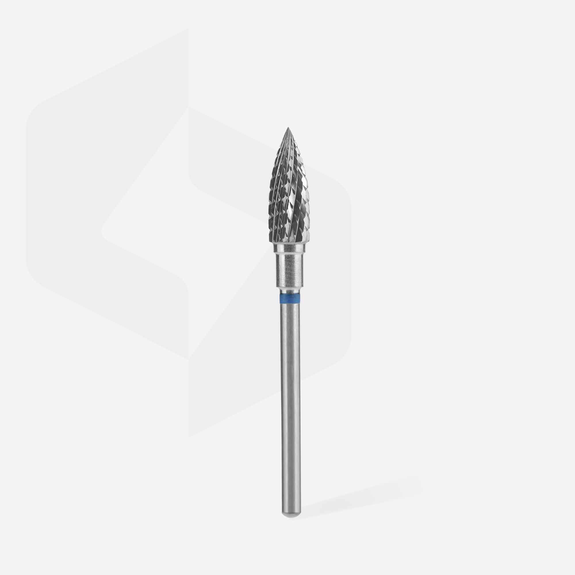 Staleks Expert Punta Cilindro Redondeado Azul FT10B050/13